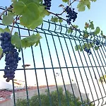 Villa Channa - Adults Only *