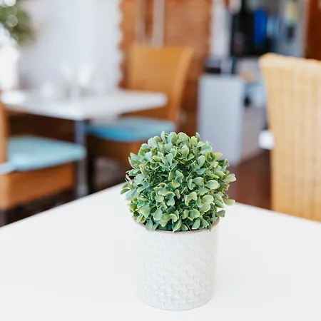 Channa - Adults Only