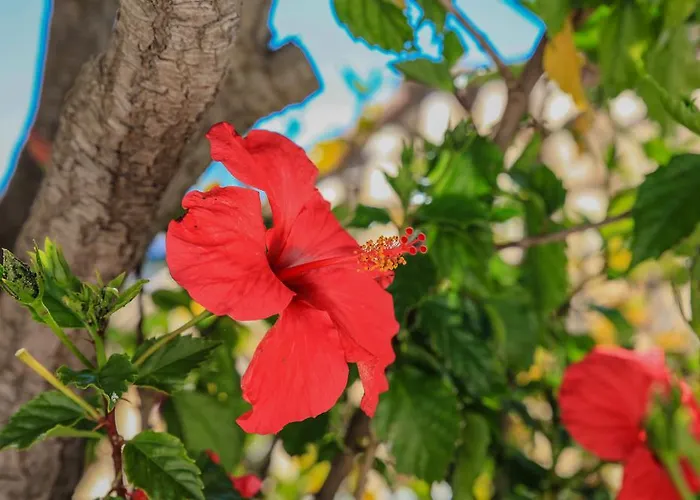 Villa Channa - Adults Only