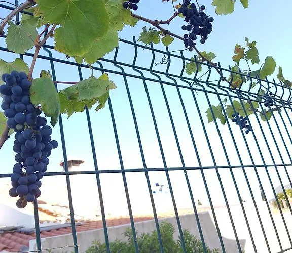 Villa Channa - Adults Only *