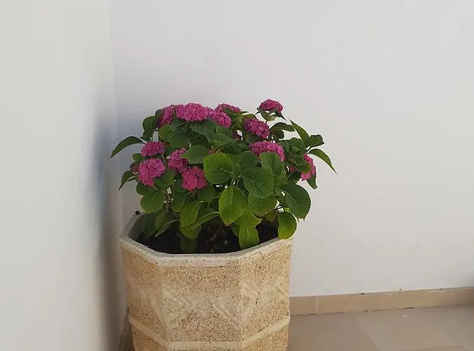 Villa Channa - Adults Only *