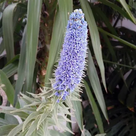 Villa Channa - Adults Only *