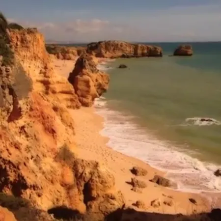 Channa - Adults Only